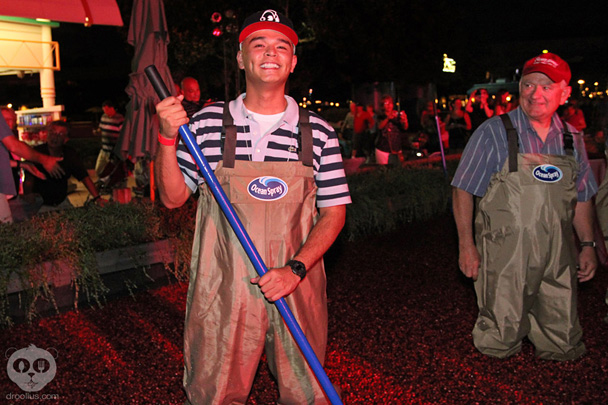 Ocean Spray Cranberry Bog Epcot Food & Wine Festival