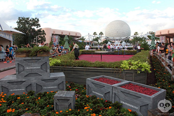 Ocean Spray Cranberry Bog Epcot Food & Wine Festival