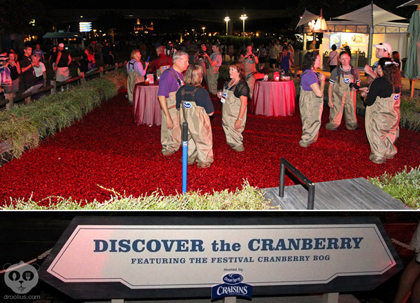 Ocean Spray Cranberry Bog Epcot Food & Wine Festival