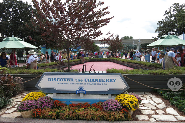 Epcot Food & Wine Festival 2013