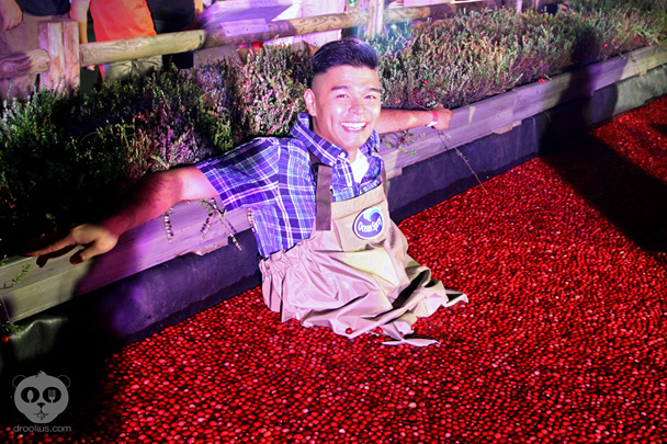 Ocean Spray Cranberry Bog at Epcot Food & Wine Festival 2013