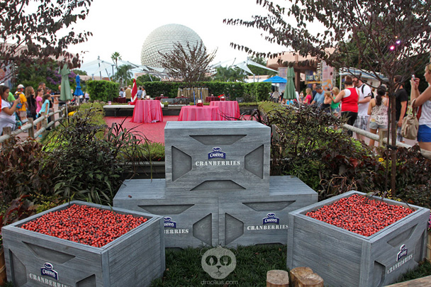 Ocean Spray Cranberry Bog at Epcot Food & Wine Festival 2013