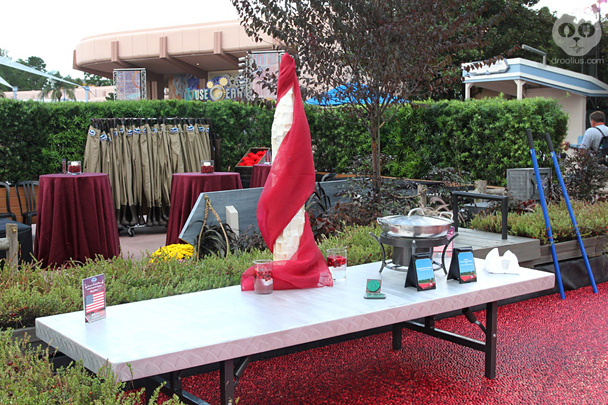 Ocean Spray Cranberry Bog at Epcot Food & Wine Festival 2013