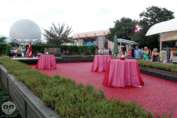 Ocean Spray Cranberry Bog at Epcot Food & Wine Festival 2013