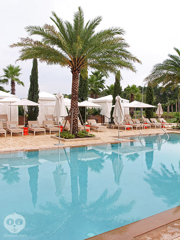 “Four Four Seasons Orlando Resort at Walt Disney World - Photo Preview